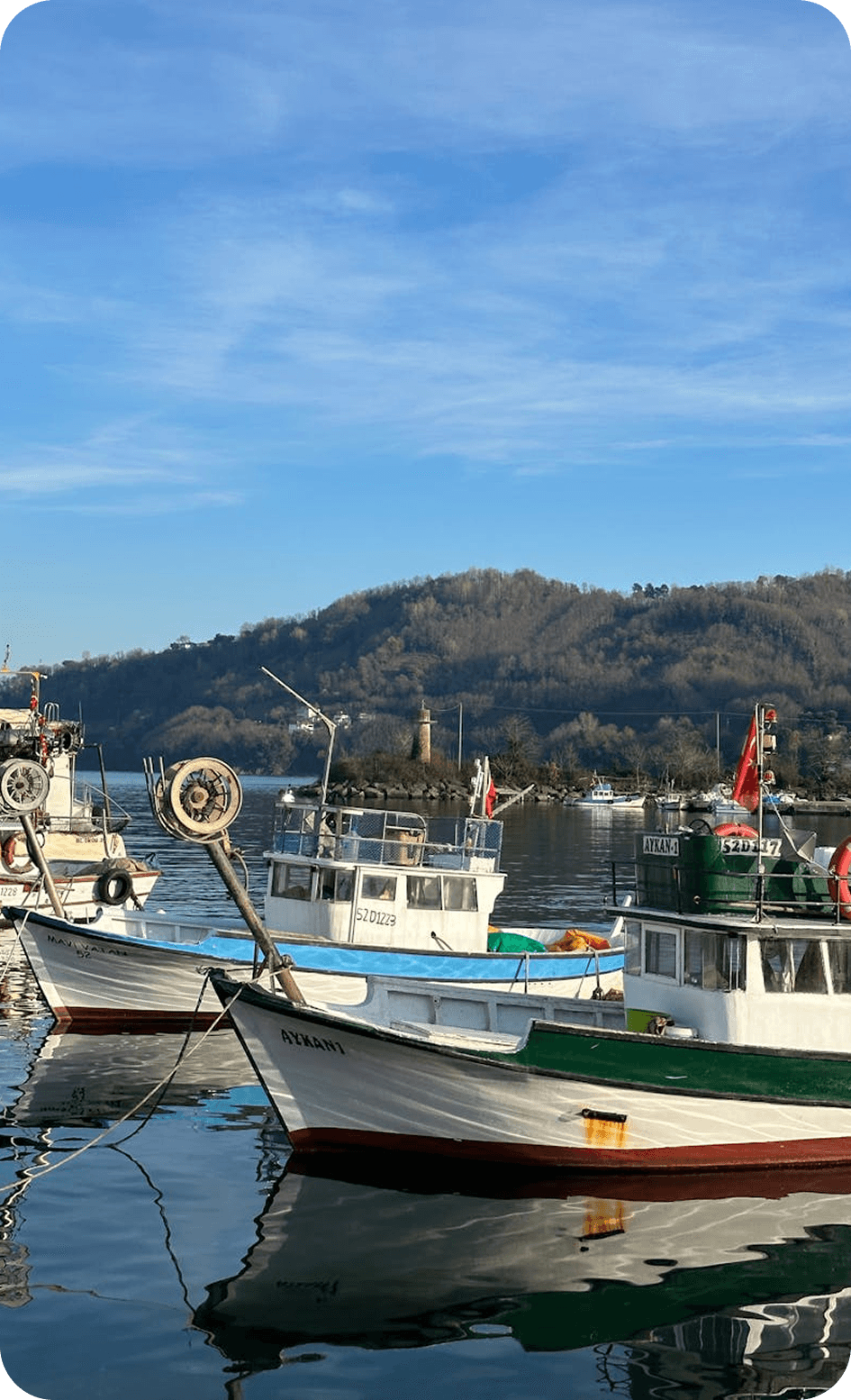 Commercial Fleets